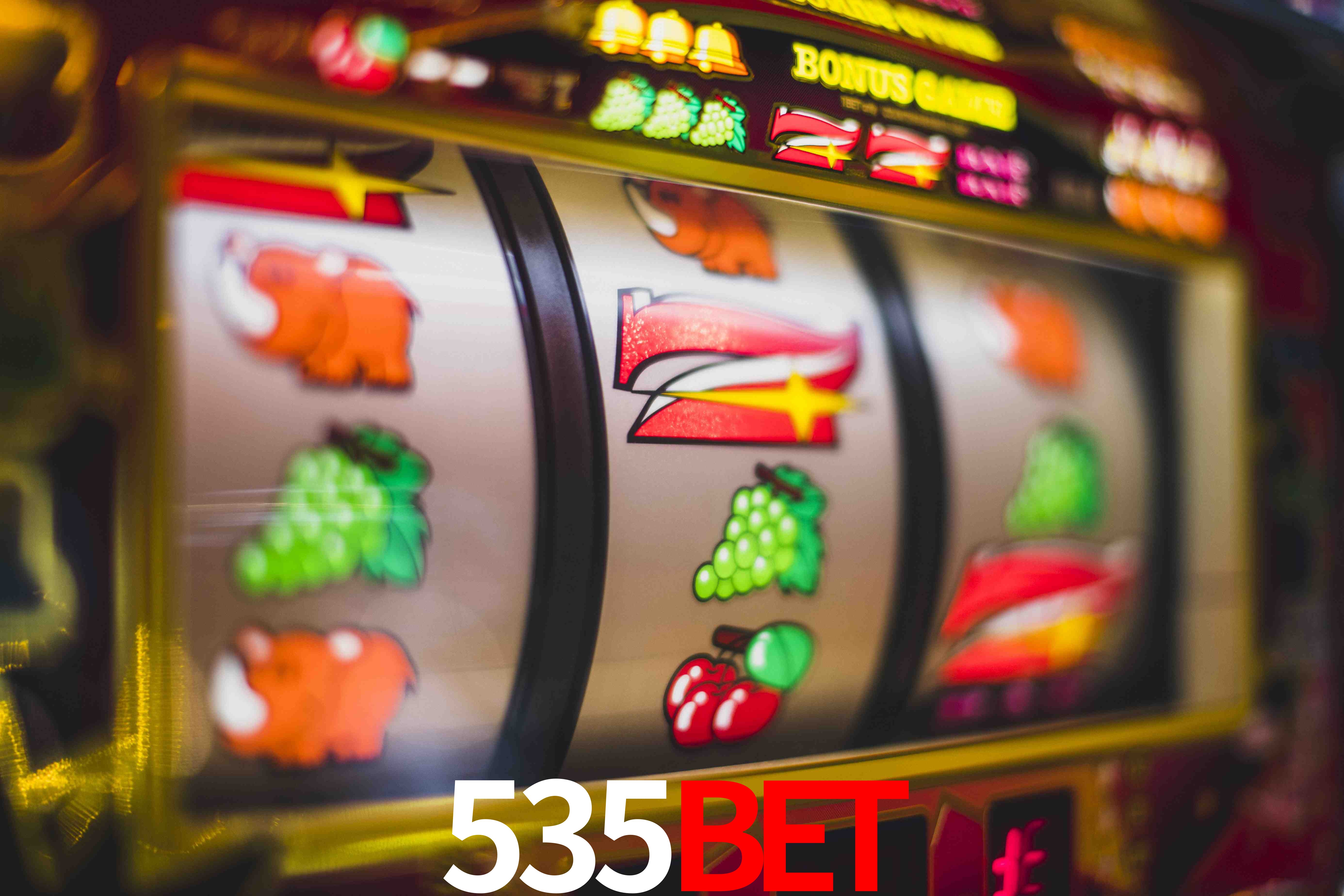VIP Casino 535bet